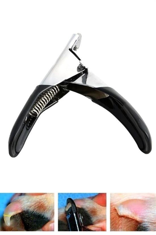 Evcil Hayvan Tırnak Makası – Kedi, Köpek, Kuş ve Tavşanlar İçin Güvenli Kesim