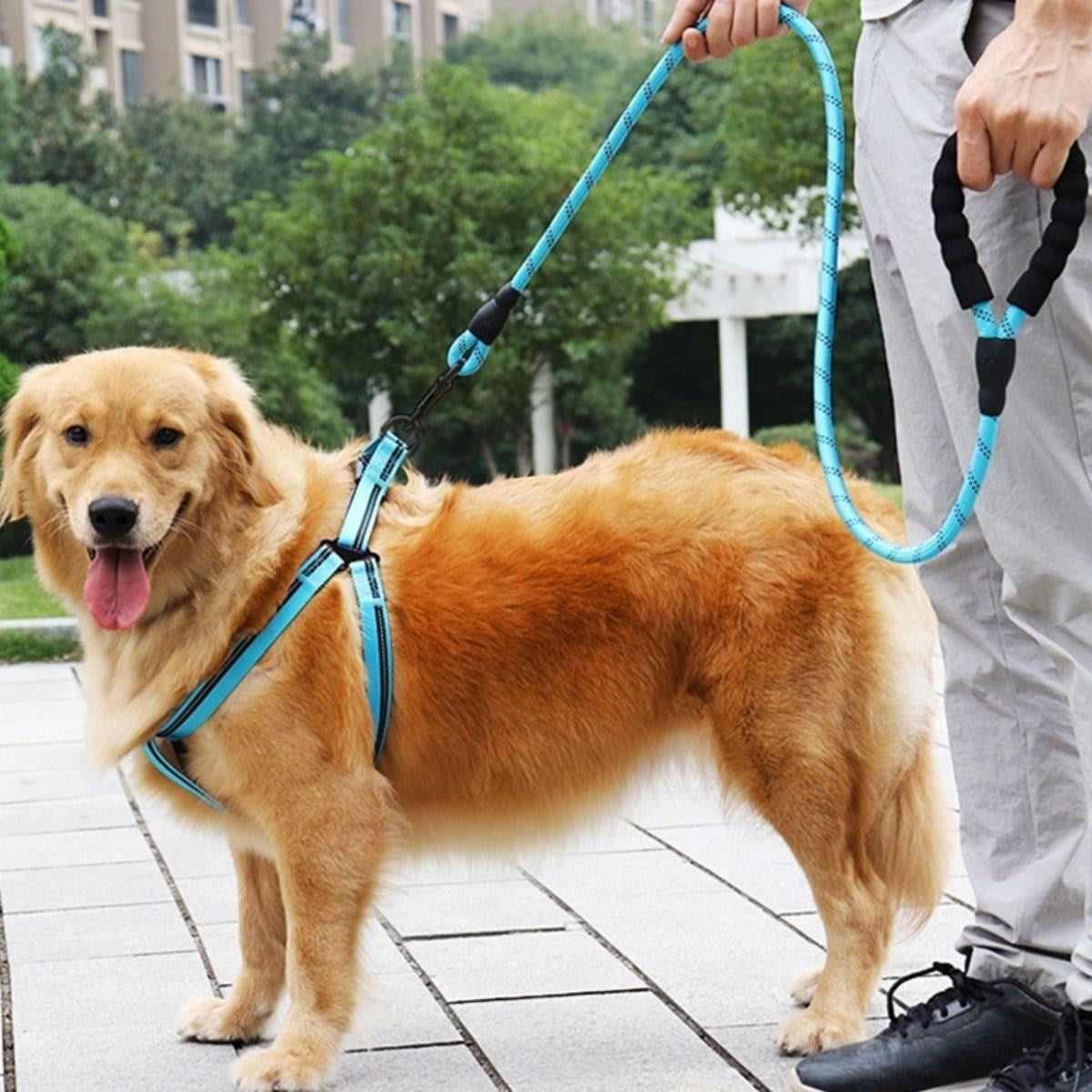 Reflektörlü Fosforlu Köpek Gezdirme Halatı – 130 cm Dayanıklı Metal Kancalı Tasma Kayışı