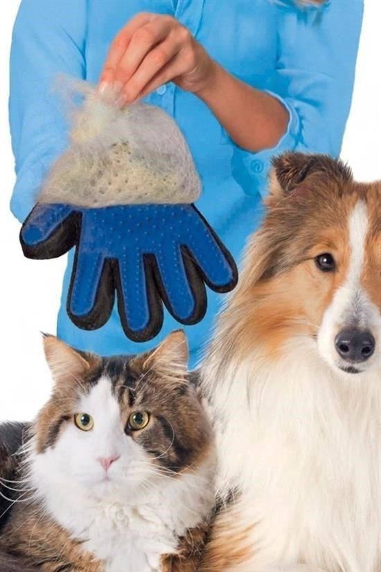 Tüy Toplayan Kedi Temizleme Eldiveni | Tüy Toplama Eldiveni